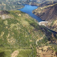 Dam10.jpg