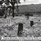 Monticello Town History35.jpg